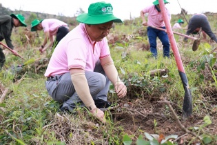 C.P. Việt Nam thực hiện “Hành trình vì một Việt Nam xanh” tại tỉnh Thừa Thiên Huế