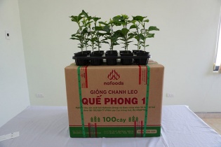 Bộ Nông nghiệp và Phát triển nông thôn nghiệm thu đề tài cây giống chanh leo Quế Phong 1 của Nafoods
