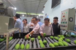 Đồng Tháp giải ngân nhanh vốn đầu tư công trình nông nghiệp, nông thôn