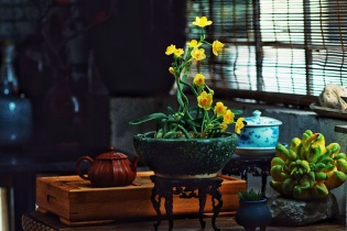 Tạo dáng hoa thủy tiên, nét văn hóa tao nhã của người Hà thành