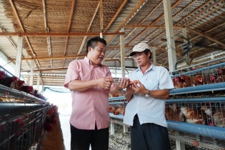 Chăn nuôi liên kết thành công tại Cần Đước, Long An