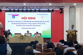 Phát triển bền vững kinh tế nông nghiệp vùng ĐBSCL