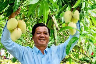 Lễ hội Xoài Đồng Tháp sẽ diễn ra từ 28/4 đến 01/5/2023