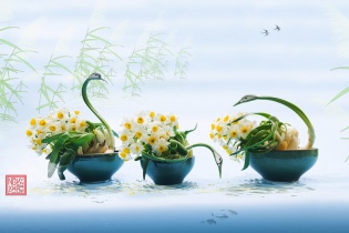 Khôi phục các dáng hoa thủy tiên cổ truyền