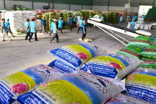 Xuất khẩu gạo tăng cao về lượng lẫn trị giá 