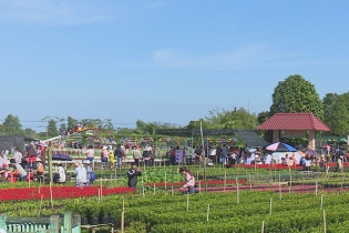Đồng Tháp: "Hội quán Đất Sen hồng" sẽ diễn ra từ 18-19/11/2023