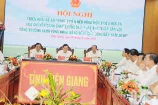 Triển khai Đề án một triệu héc-ta chuyên canh lúa chất lượng cao và phát thải thấp
