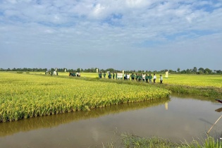 Đưa "nông nghiệp thuận thiên” trở thành thương hiệu quốc gia của Việt Nam