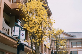 K-Town tái định nghĩa phố Hàn tại Việt Nam