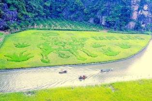 Ninh Bình sẵn sàng  cho Tuần du lịch "Sắc vàng Tam Cốc Tràng An" 2024