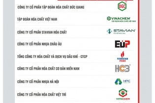 Top 10 Doanh nghiệp Đổi mới, Sáng tạo và Kinh doanh hiệu quả 2024 ngành hóa chất - nhựa - bao bì