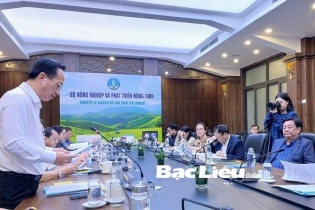 Thành lập Ban chỉ đạo Lễ hội Nghề muối Việt Nam - Bạc Liêu