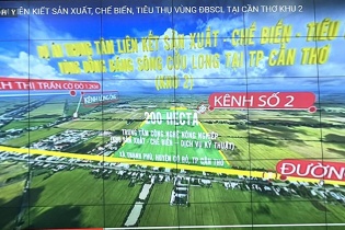 Lập Quy hoạch tỷ lệ 1/2.000 Trung tâm liên kết sản xuất, chế biến, tiêu thụ nông sản vùng ĐBSCL