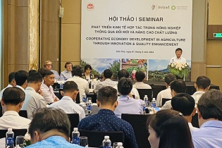 Đồng bằng sông Cửu Long đổi mới, nâng chất lượng phát triển kinh tế hợp tác nông nghiệp