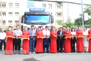 Dừa tươi Bến Tre lần đầu tiên xuất chính ngạch sang Trung Quốc 