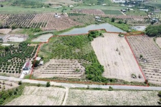 Một doanh nhân tại TP.HCM đấu giá đất gắn với hoạt động thiện nguyện