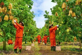 Lãi ròng 28 tỷ quý III, Nafoods hoàn thành 71% kế hoạch lợi nhuận sau 9 tháng