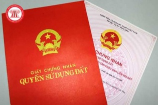 Nam Định yêu cầu tăng cường quản lý và minh bạch trong hoạt động đấu giá đất