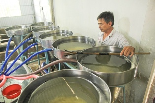 Cá tra Việt Nam sẽ mang về 2 tỷ USD xuất khẩu năm 2025