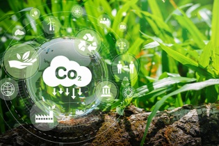 Takeda với đổi mới y tế và chiến lược Net Zero