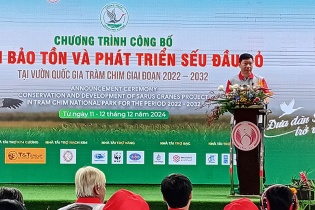 Đồng Tháp công bố Đề án Bảo tồn phát triển sếu đầu đỏ