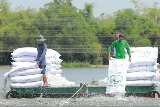 Agribank đẩy mạnh tín dụng ưu đãi lĩnh vực nông, lâm, thủy sản