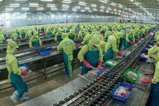 Đồng Tháp muốn xây dựng chuỗi liên kết cho ngành hàng nông nghiệp chủ lực