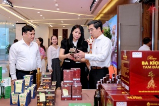 Vĩnh Phúc nỗ lực đưa du lịch thành ngành kinh tế mũi nhọn