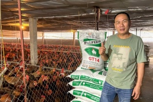 Trang trại chăn nuôi an toàn sinh học của chủ đại lý cám tại Phú Thọ