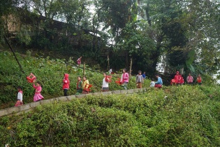 Từ “sống lưng khủng long” đến những cánh đồng pin mặt trời