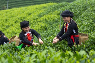 Du lịch Thái Nguyên trước cơ hội nâng tầm Du lịch Thái Nguyên trước cơ hội nâng tầm