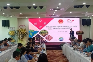 Cần cơ chế tín dụng đột phá cho Đề án 1 triệu ha lúa chất lượng cao vùng ĐBSCL