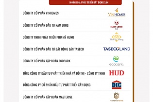 Công bố Top 10 Doanh nghiệp tạo giá trị hàng đầu Việt Nam 2025 - Ngành Bất động sản