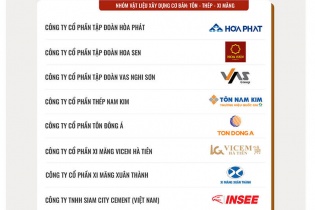 Công bố Top 10 Doanh nghiệp tạo giá trị hàng đầu Việt Nam 2025 - Ngành Vật liệu xây dựng