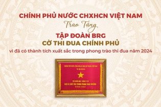 Tập đoàn BRG được trao tặng Cờ Thi đua Chính phủ