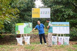 Yara Việt Nam đồng hành cùng nông dân Đắk Lắk tạo nên mùa vụ sầu riêng bền vững đầu tiên
