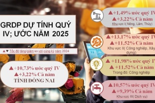 Đồng Nai bứt phá mạnh mẽ, GRDP năm 2025 vượt mục tiêu, khẳng định vai trò đầu tàu kinh tế của vùng và cả nước