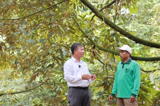 Map Pacific Singapore - Người bạn đồng hành đáng tin cậy của nhà nông Việt