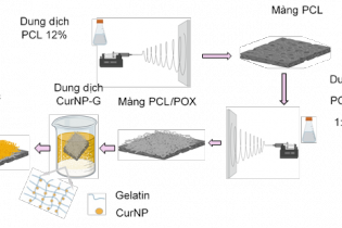 Nghiên cứu thành công băng gạc nano curcumin hỗ trợ lành vết thương