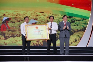 Làng hoa Sa Đéc viết tiếp câu chuyện làm kinh tế sáng tạo