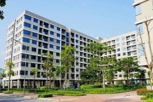 Cà Mau chấp thuận chủ trương đầu tư dự án nhà ở xã hội vốn hơn 545 tỷ đồng