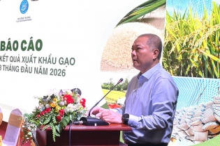 Xuất khẩu gạo 2026: Cơ cấu thị trường dần chuyển dịch tích cực