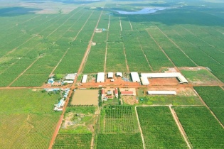 Công ty Cổ phần Đầu tư Quốc tế Hoàng Anh Gia Lai thông báo chào bán 18.800.000 cổ phiếu lần đầu ra công chúng (Kỳ 2)