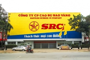 Kế hoạch giàu tham vọng và bài toán điều tiết dòng tiền của Cao su Sao Vàng