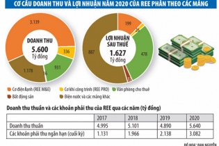 Dò biến số cho các biến động tài chính của REE