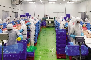 Doanh nghiệp Việt chưa lúc nào ngồi đợi