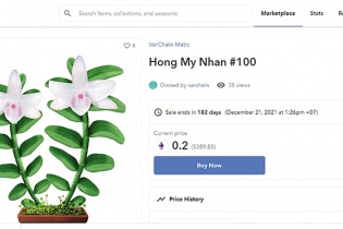 “Bong bóng” tài sản số