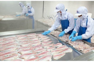 Thủy sản Mekong về đích trong khe cửa hẹp?