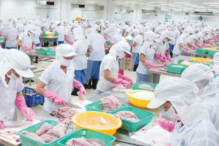 Doanh thu tài chính “cứu” kết quả kinh doanh quý III