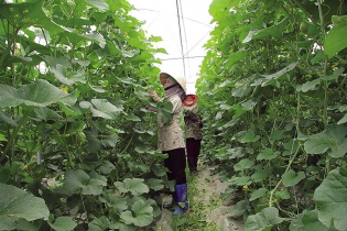 Tín dụng chính sách góp phần đảm bảo an sinh xã hội và đẩy lùi tín dụng đen